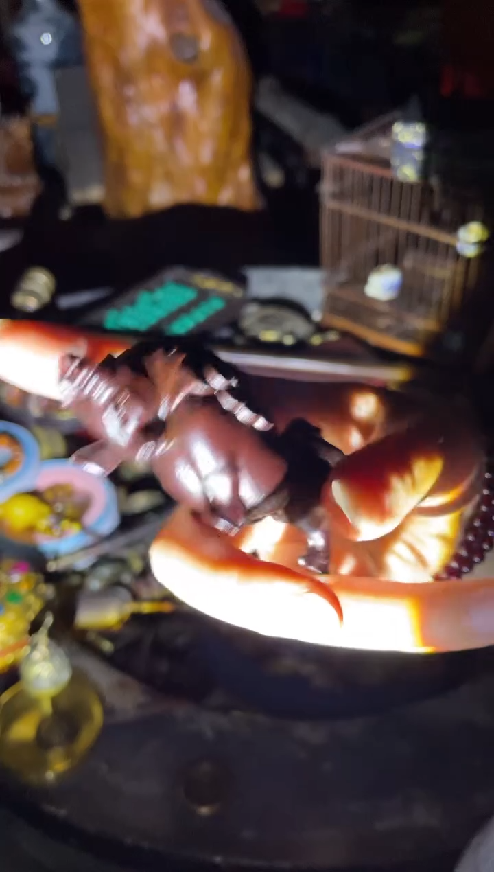 木一一一一一一999红一