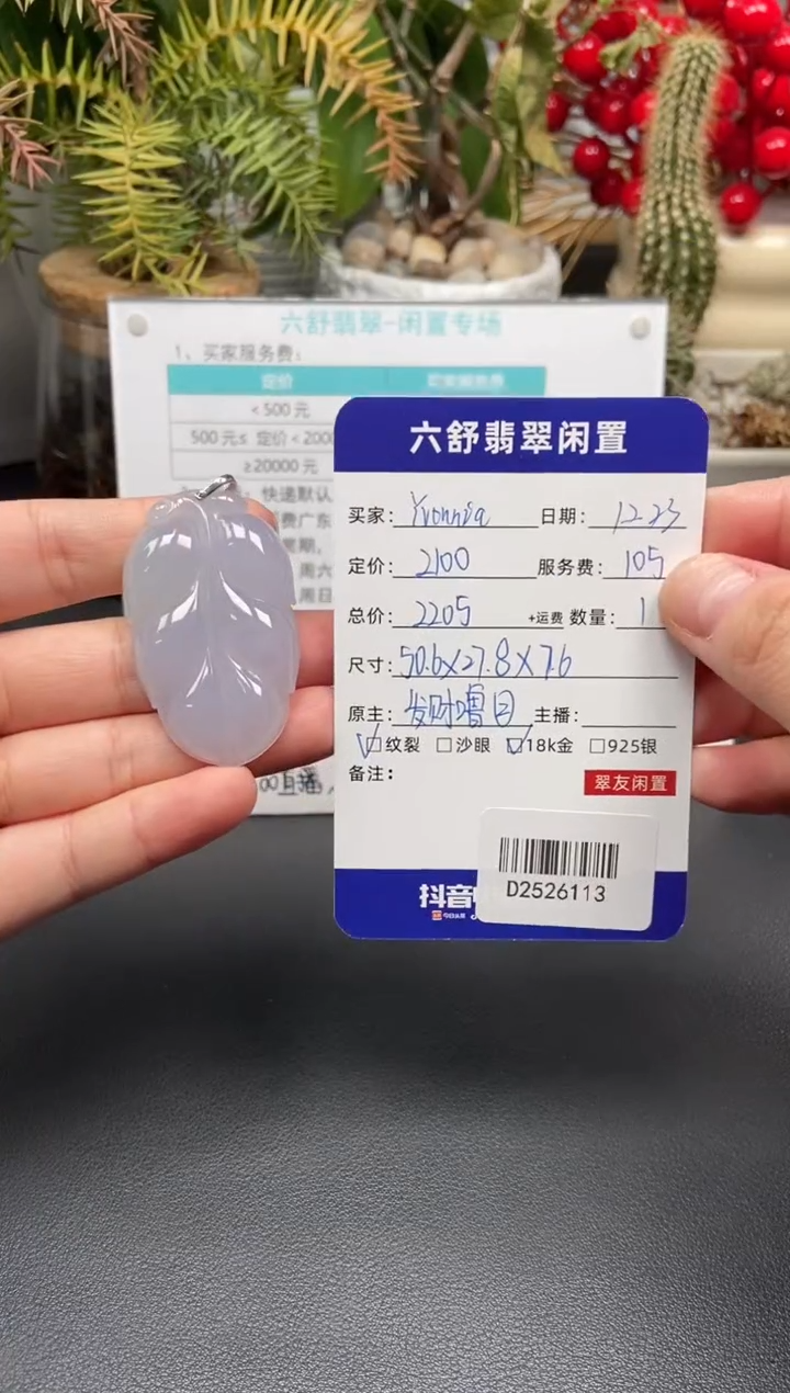 颈饰18K金镶嵌翡翠Y****aD2526113