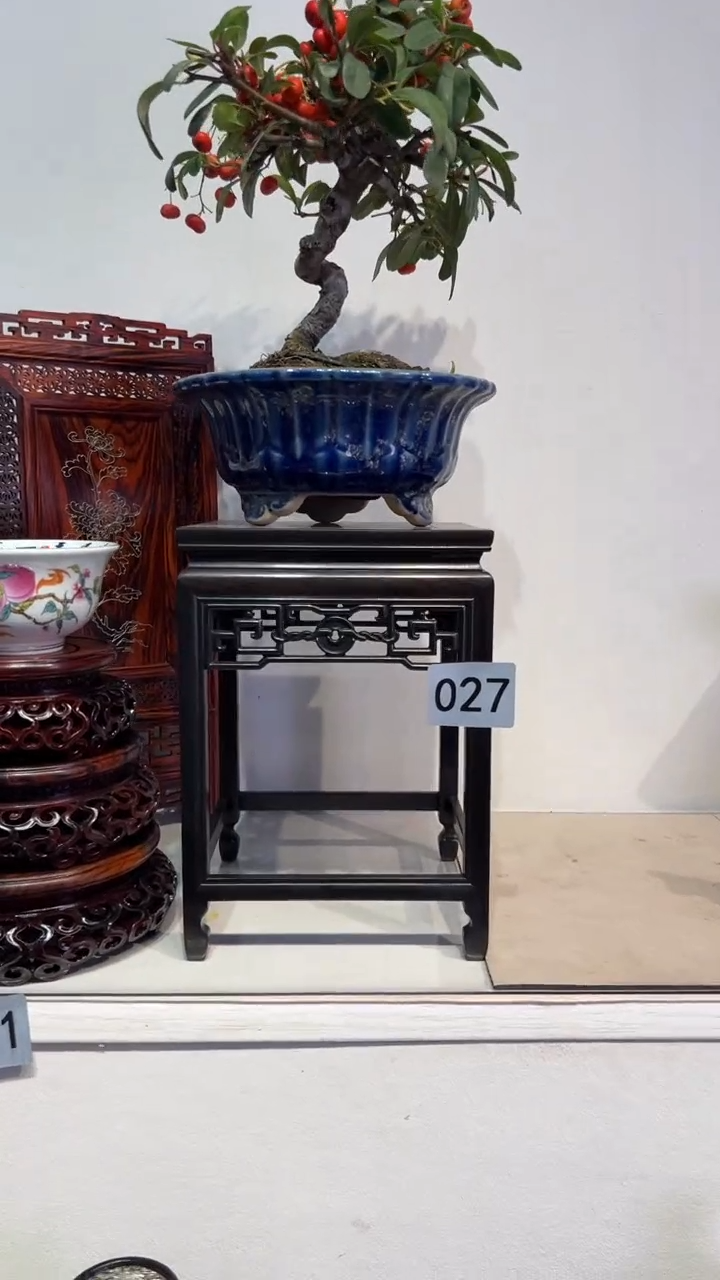 【闪购商品】紫砂1紫砂紫砂紫砂紫砂紫砂