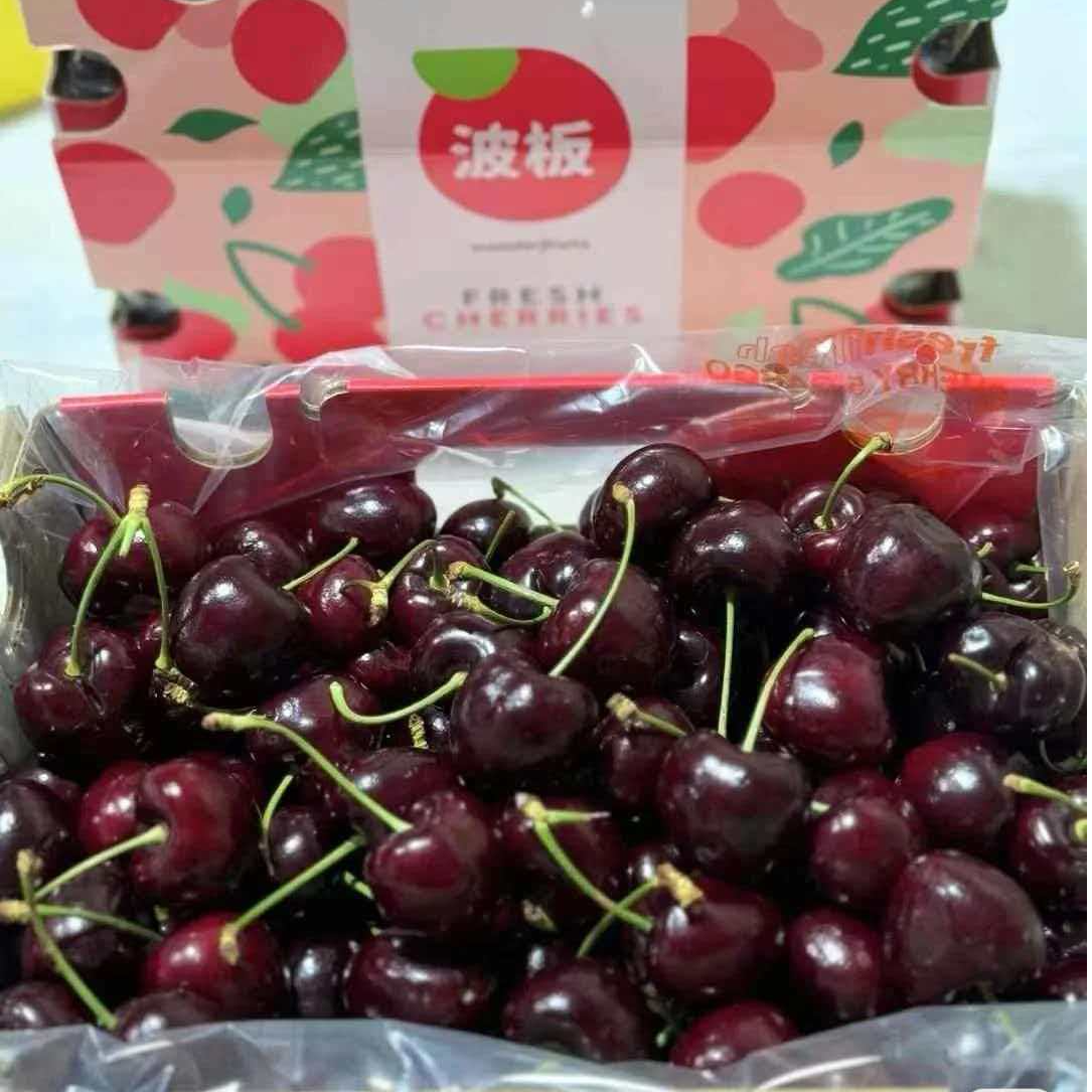 海运智利拉宾斯4JJJJD车厘子5斤装原箱原包装4JD车厘子拉宾斯智利