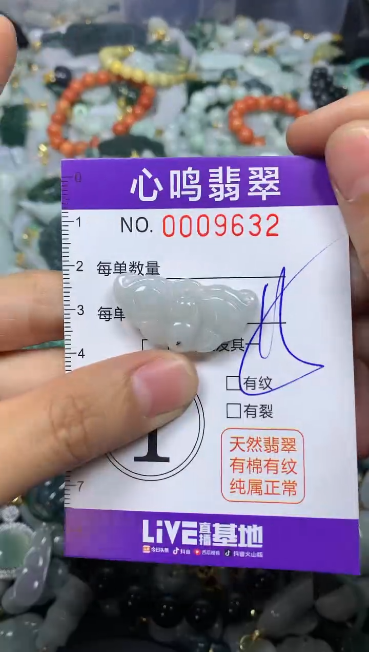 【闪购商品】翡翠颈饰未镶嵌闪购009632