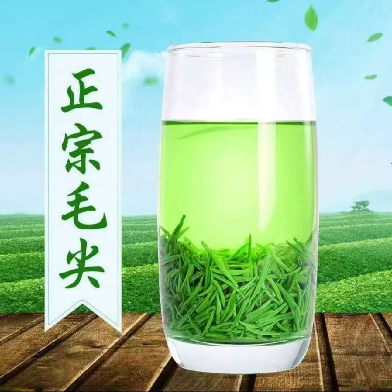 【热卖口粮茶】2025年新茶高山云雾绿茶毛尖茶叶浓香型罐装