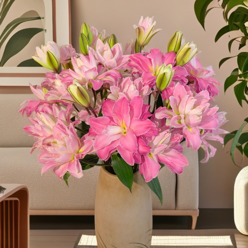【小阿阮】莲花之境 A级重瓣莲花型香水百合花鲜花水养百合鲜花