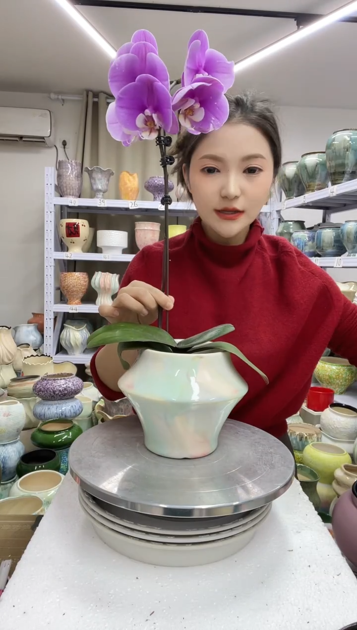 【1.3】花盆尺寸高：14 口：11