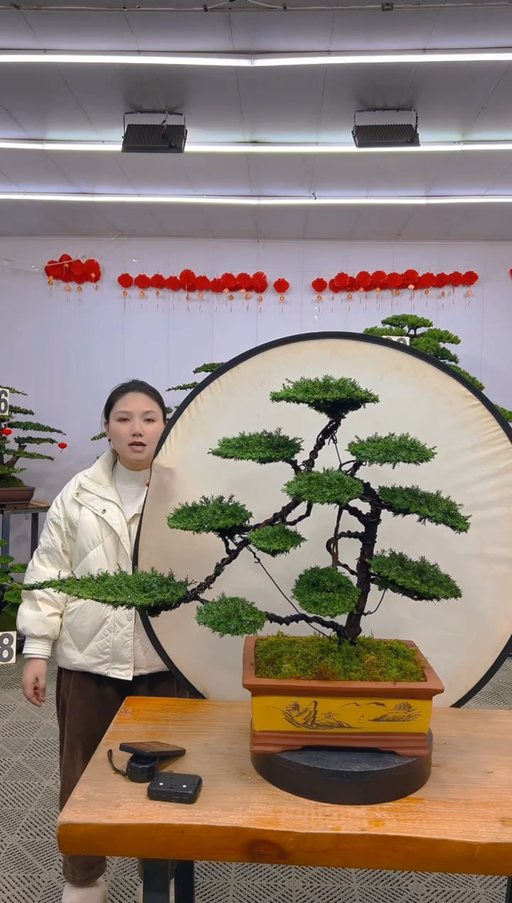 【闪购商品】盆景1