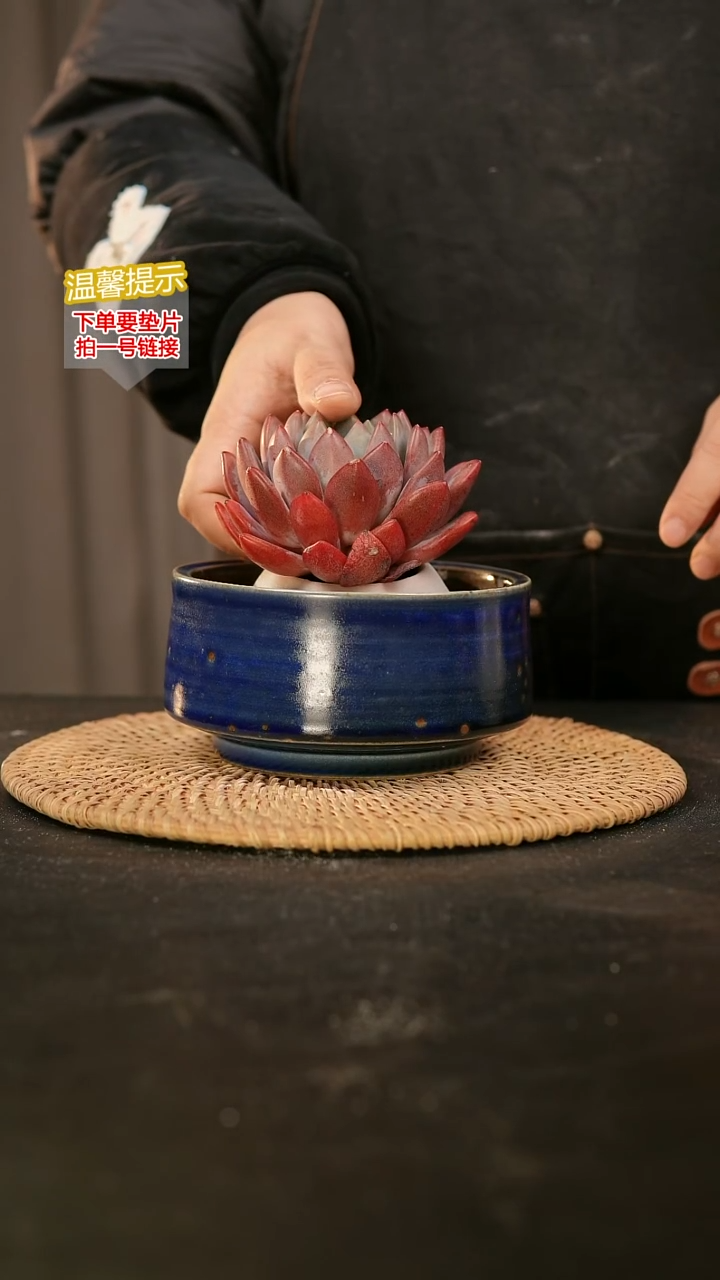 瓷片内口径约12  外高约7-8