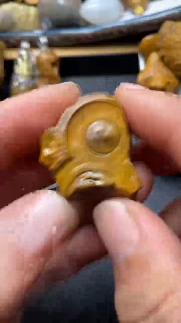 石材纯天然原石奇石190