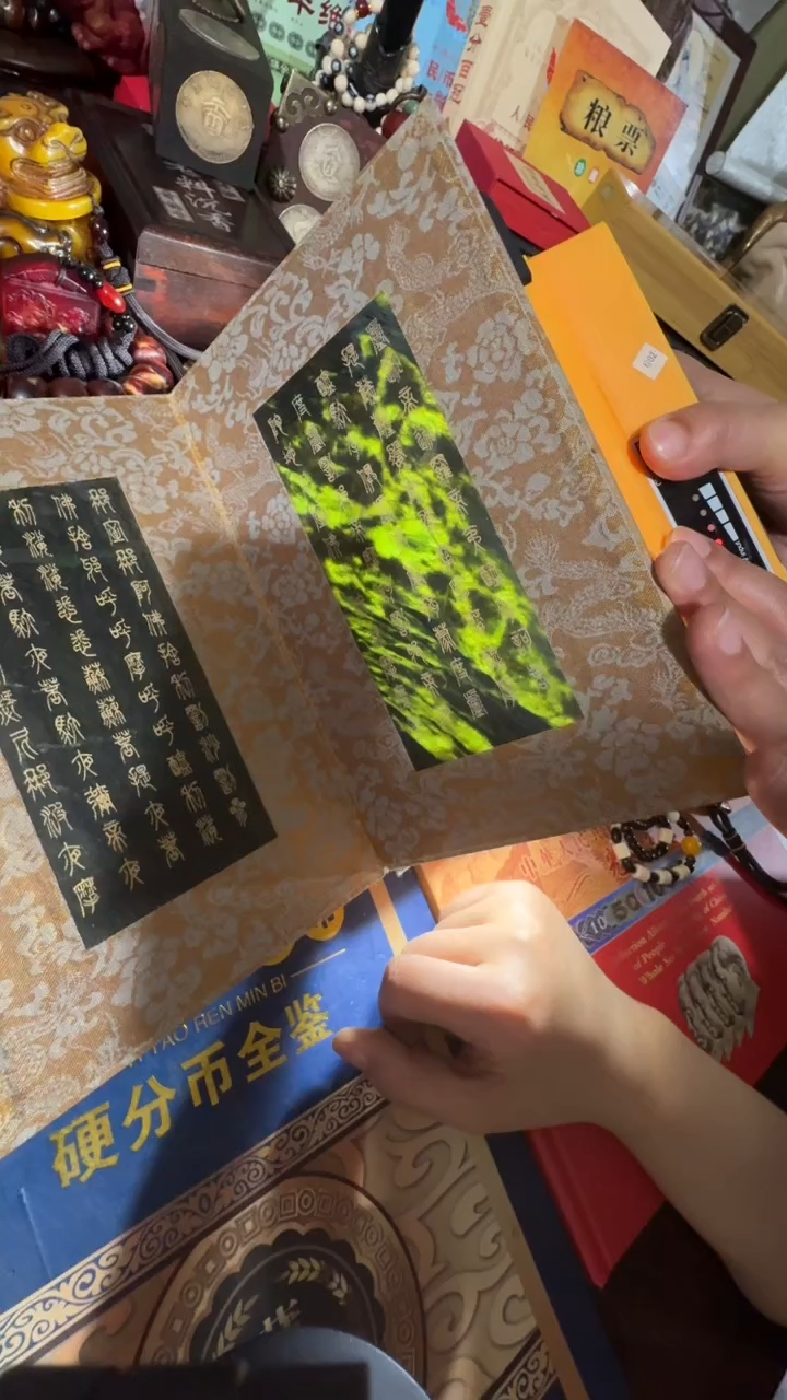 【闪购商品】贝壳摆件撤店清仓好物分享
