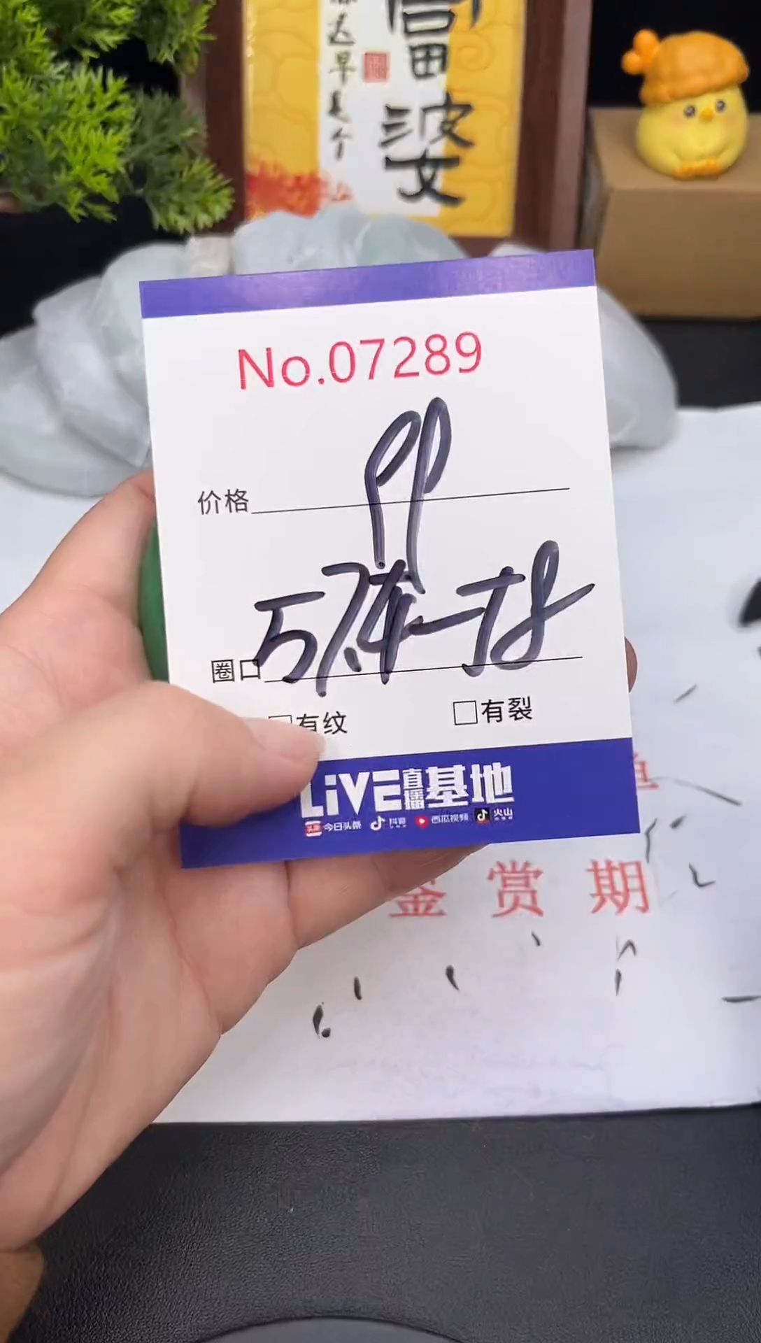 未镶嵌手镯翡翠7289