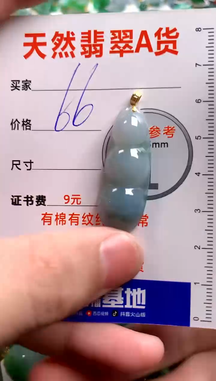 翡翠18K金镶嵌颈饰13006074