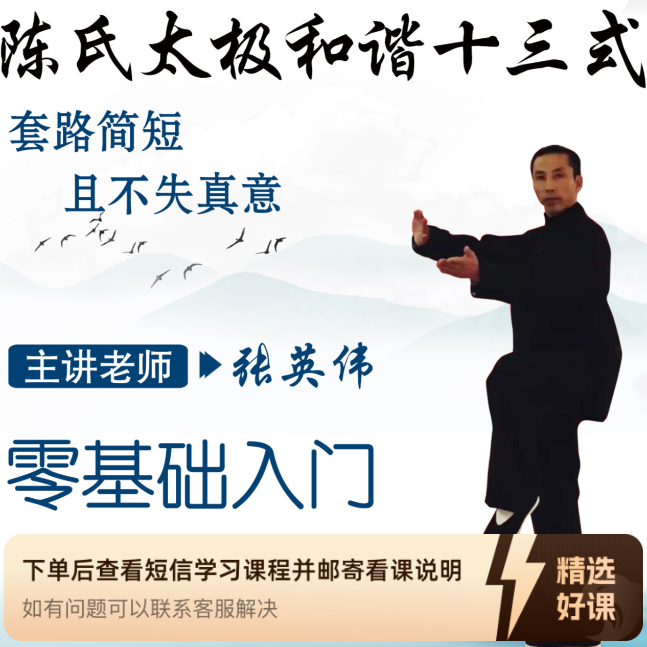 陈氏太极和谐十三式精细化讲解（留意短信解锁课程）