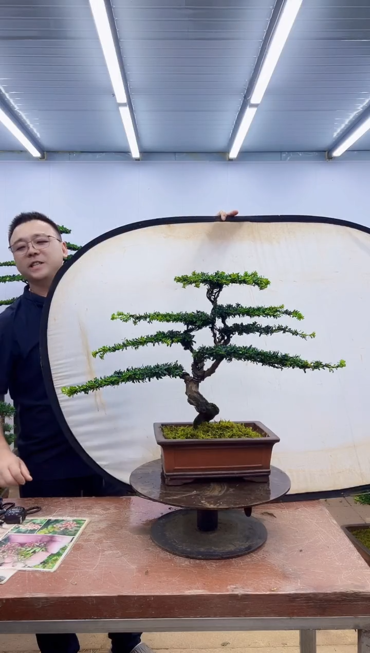 无花朵一物一拍，所见即所得