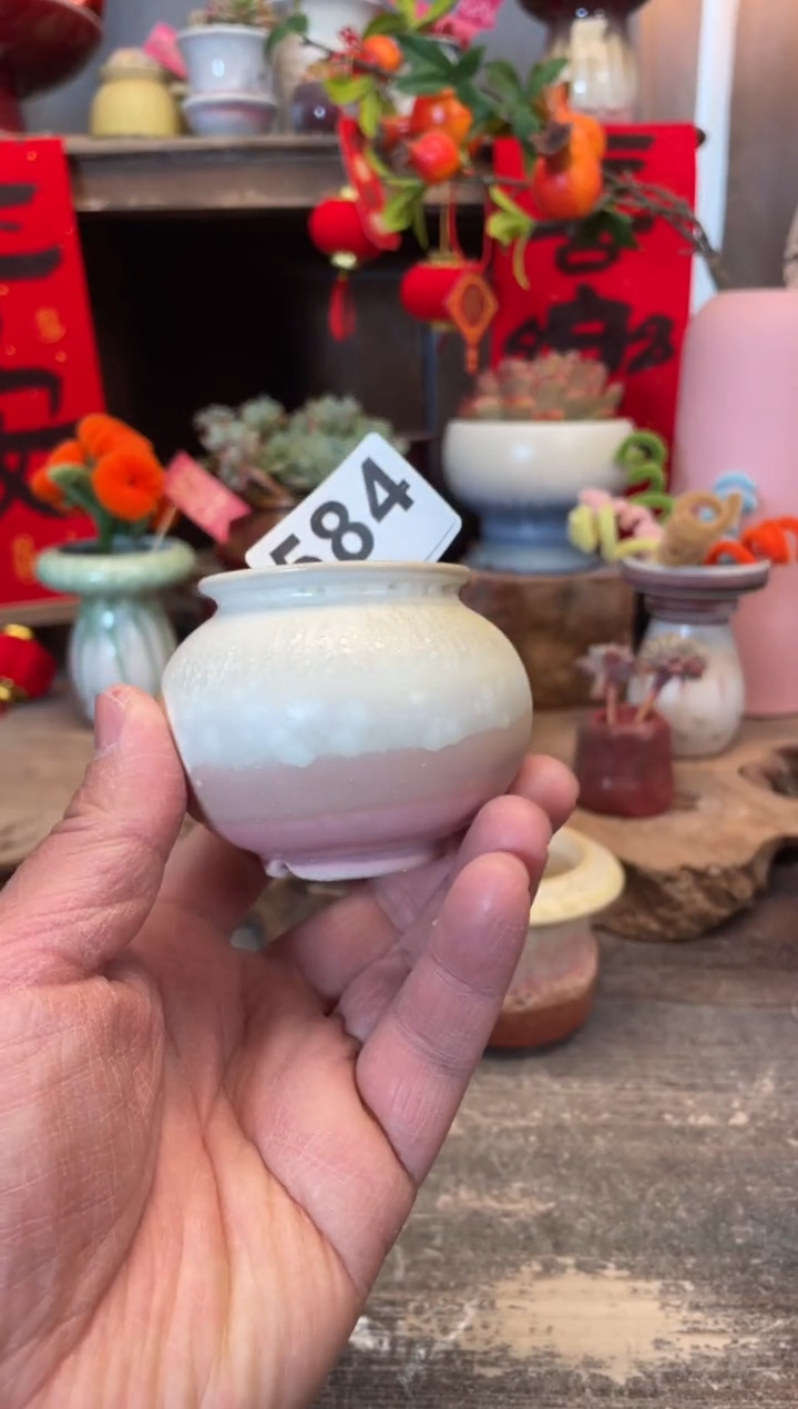 【闪购商品】摆件584知木小芳花盆