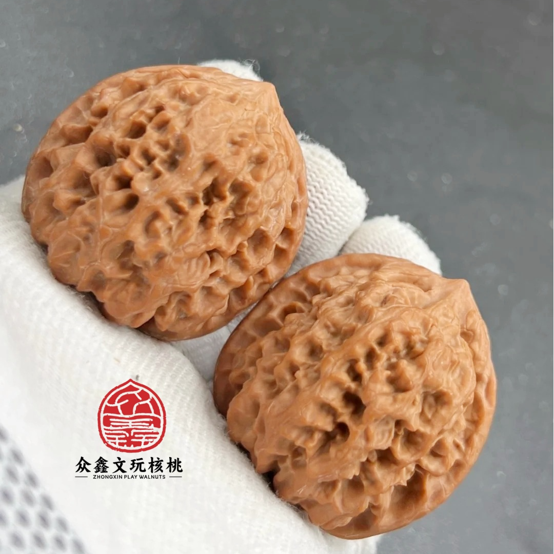 众鑫清华哥--野牛狮子头