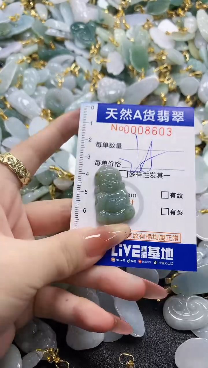 颈饰未镶嵌翡翠天然A货翡翠