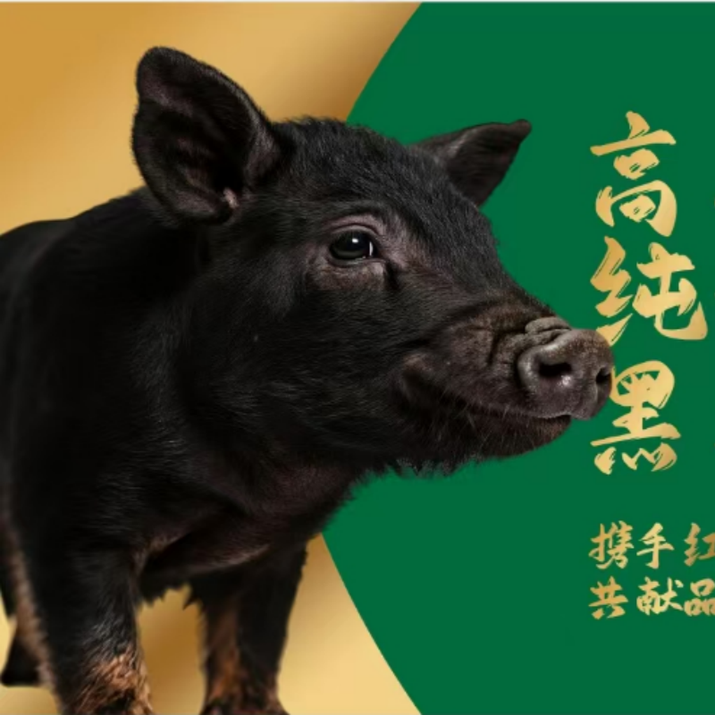 【板油现称链京东包邮】农家散养黑土猪肉板油猪肉同城配