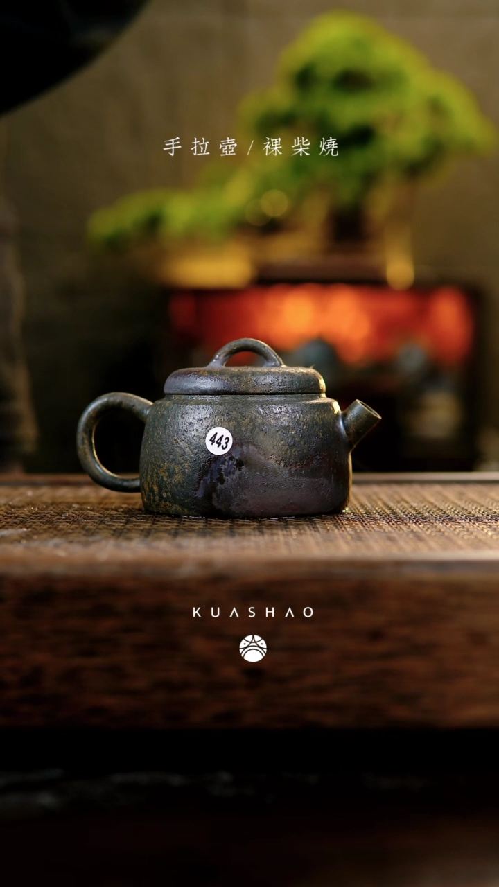 【闪购商品】443惊蛰壶