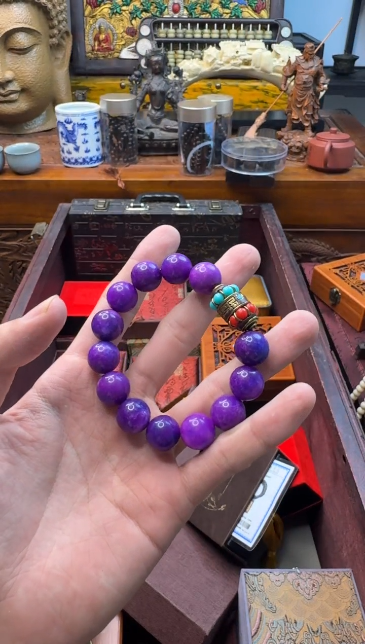 瓷片主播精选精品链接——————舒俱来1.6