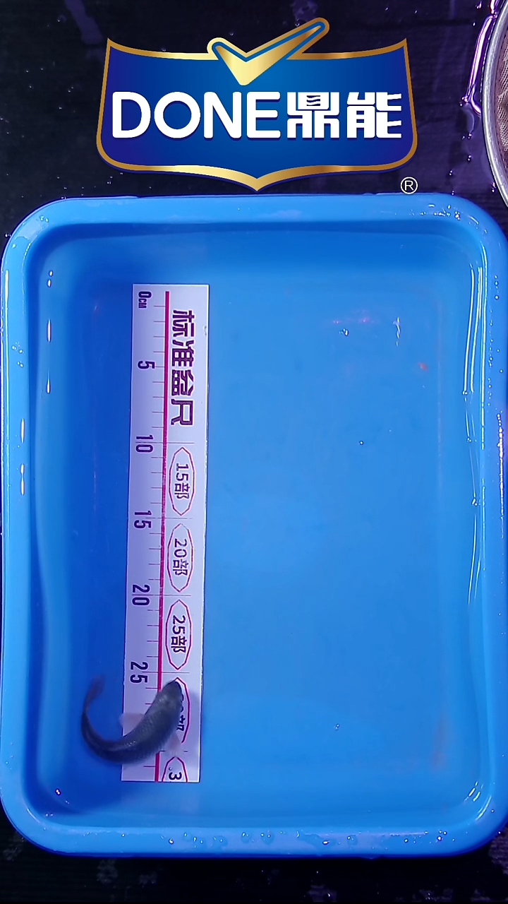 锦鲤鱼悦直播间菁选 对版发货 5号