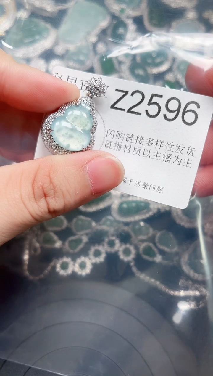 【闪购商品】翡翠颈饰未镶嵌赠皮绳2596