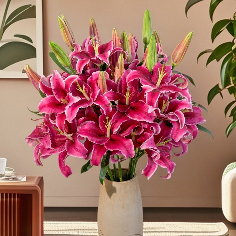 云南木木花卉黑美人单瓣香水百合花高贵大气家居客厅插花耀眼鲜花