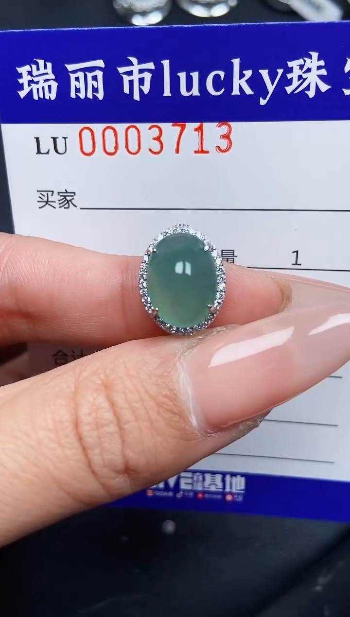 【闪购商品】翡翠颈饰银S925镶嵌3713