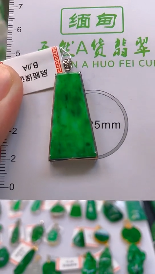 【闪购商品】翡翠颈饰18K金镶嵌新号开播，全场乱卖