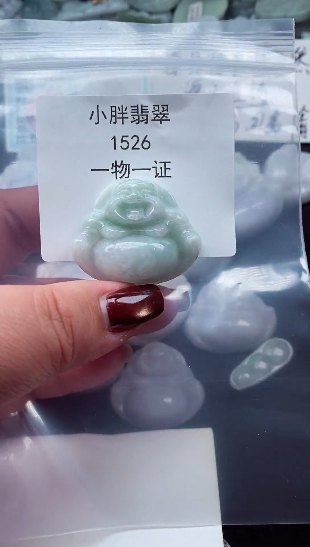 颈饰未镶嵌翡翠缅甸天然A货翡翠1526