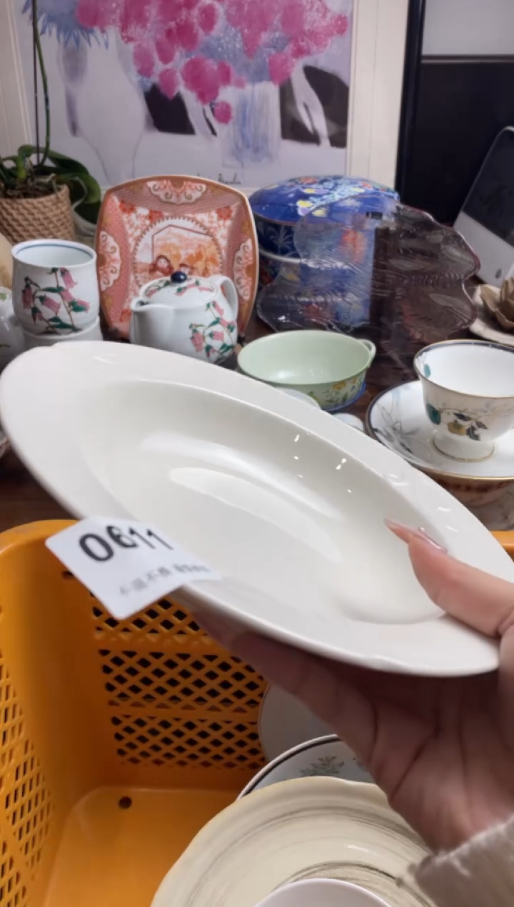 【闪购商品】瓷片ghghfjfjyjyj353