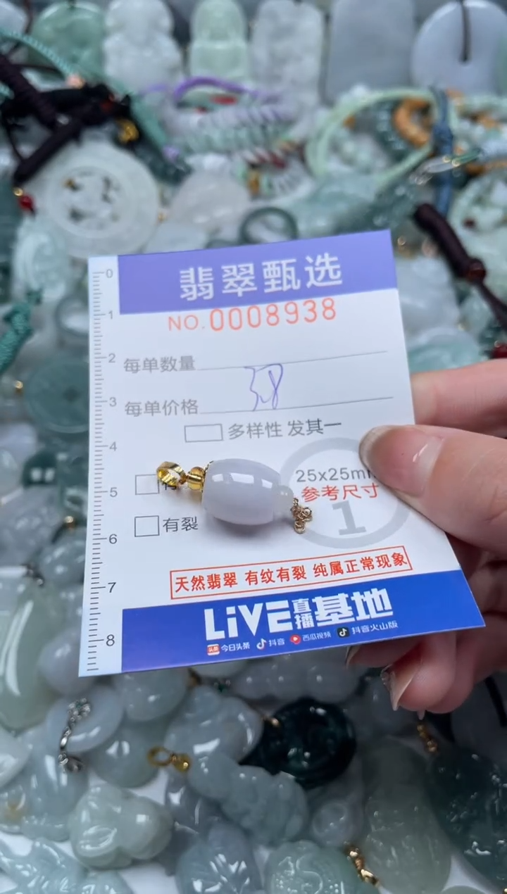 翡翠未镶嵌颈饰00..8938