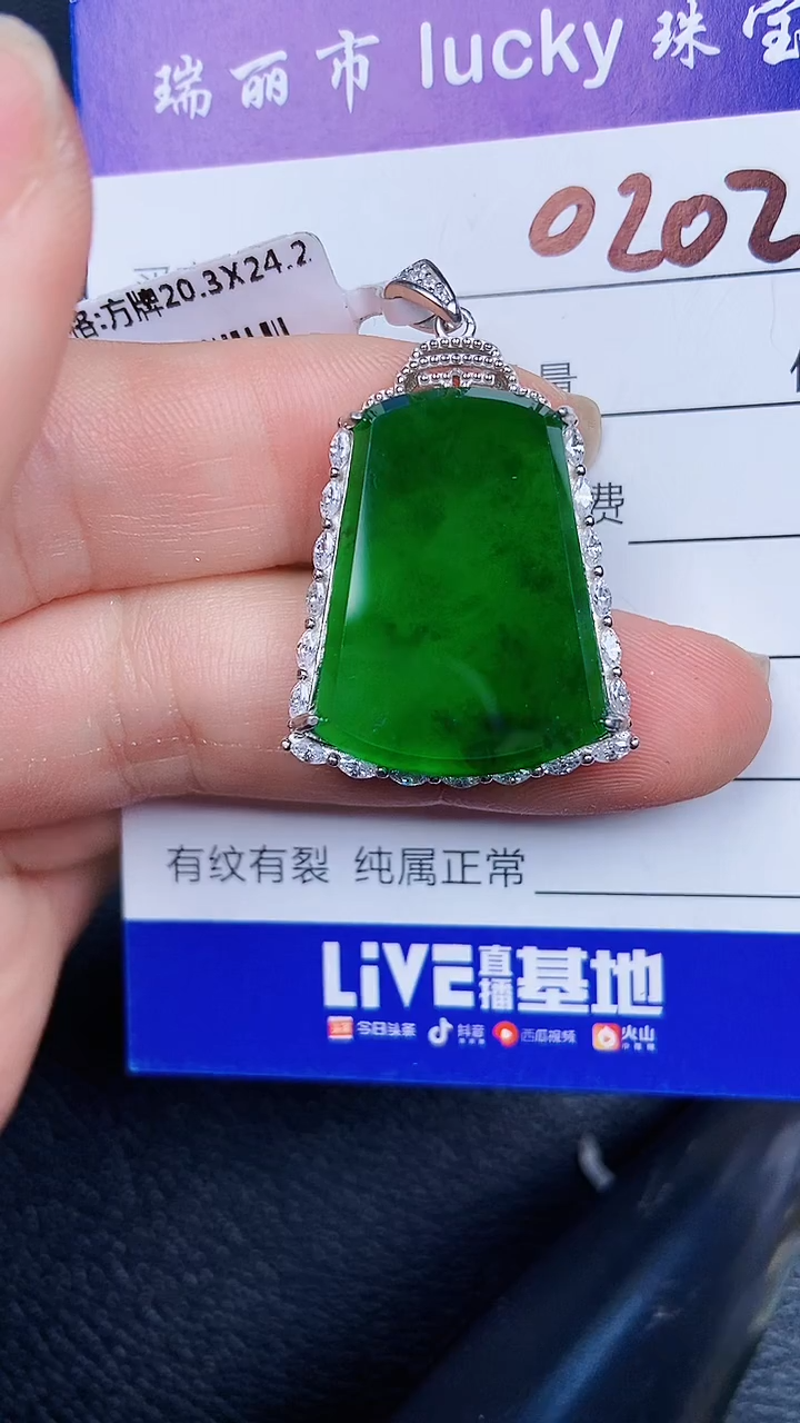 颈饰银S925镶嵌翡翠0202