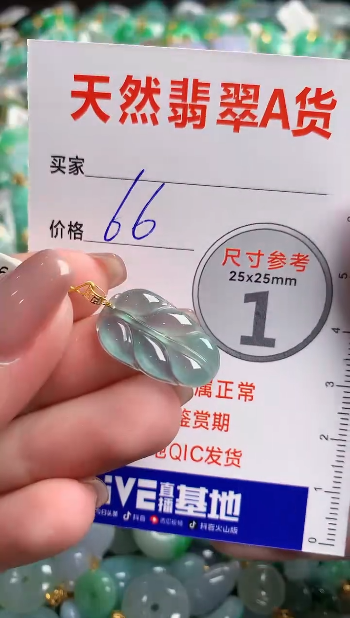 翡翠18K金镶嵌颈饰23000207