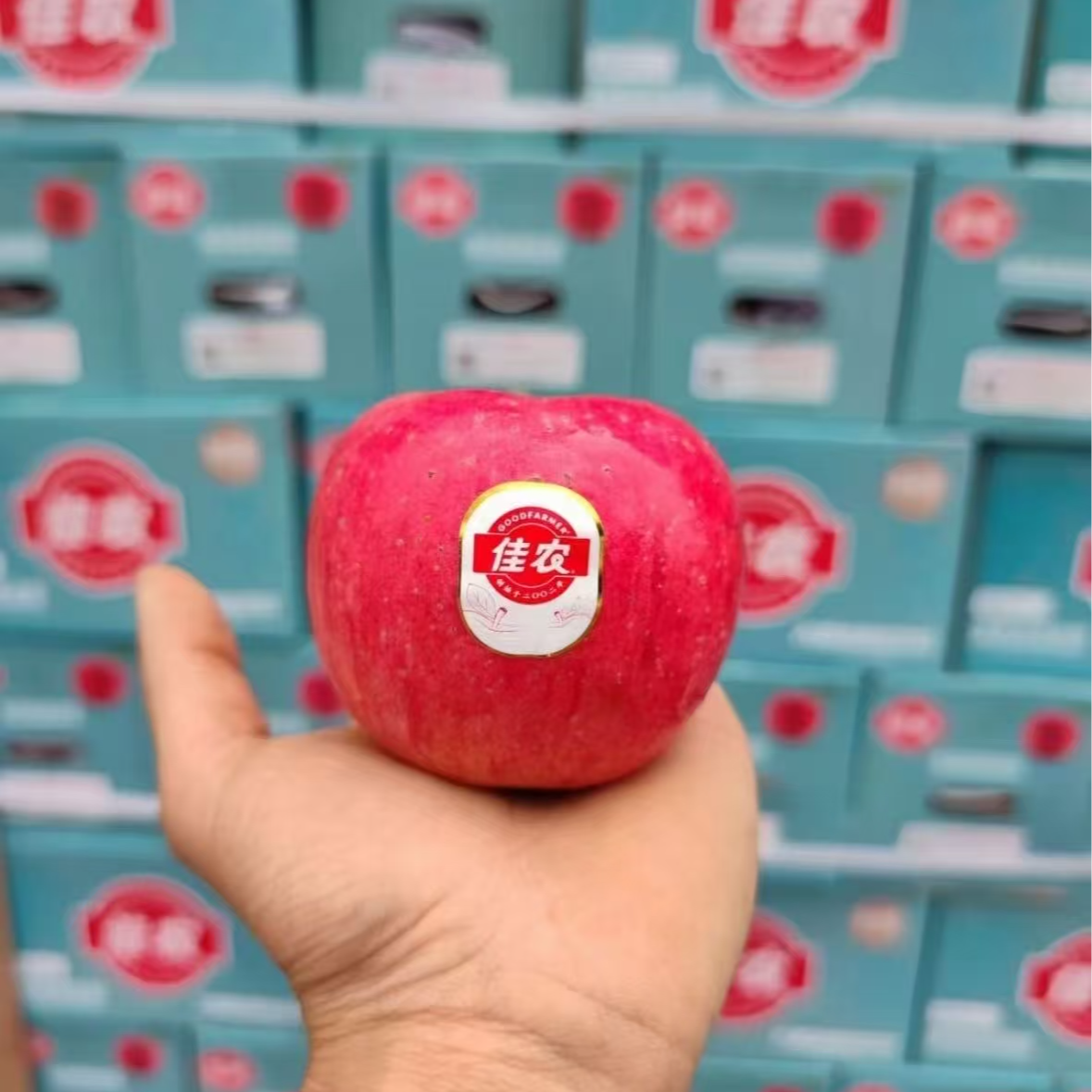 佳农高原超甜红富士 6粒装 顺丰包邮