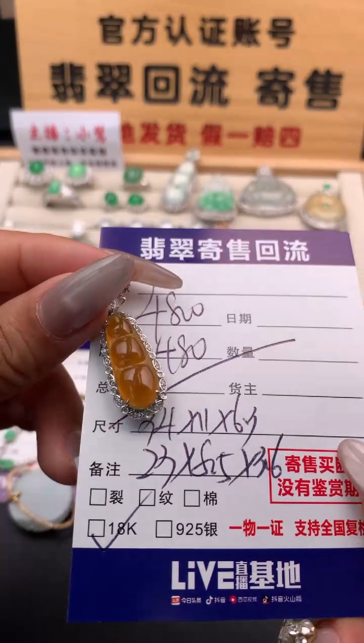 翡翠18K金镶嵌颈饰10126969