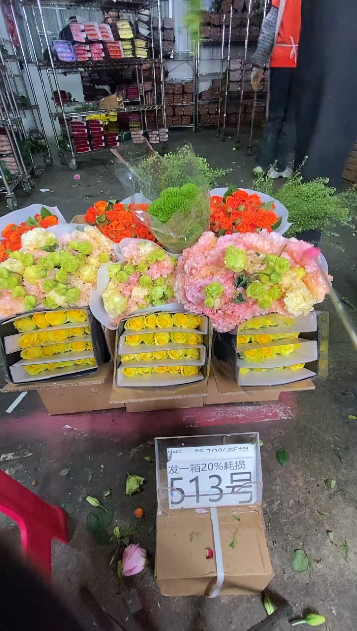 513号♥含20%耗损发一箱
