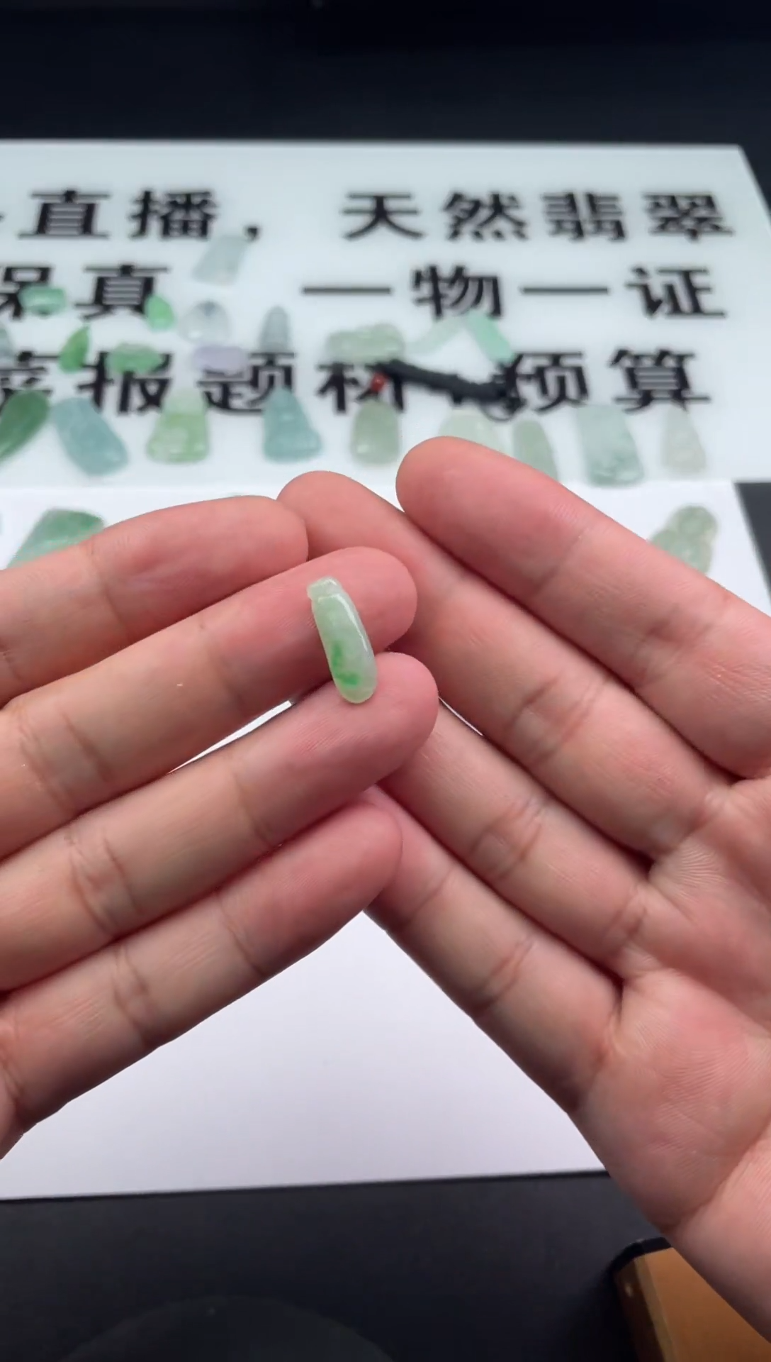 颈饰未镶嵌翡翠翡翠挂件