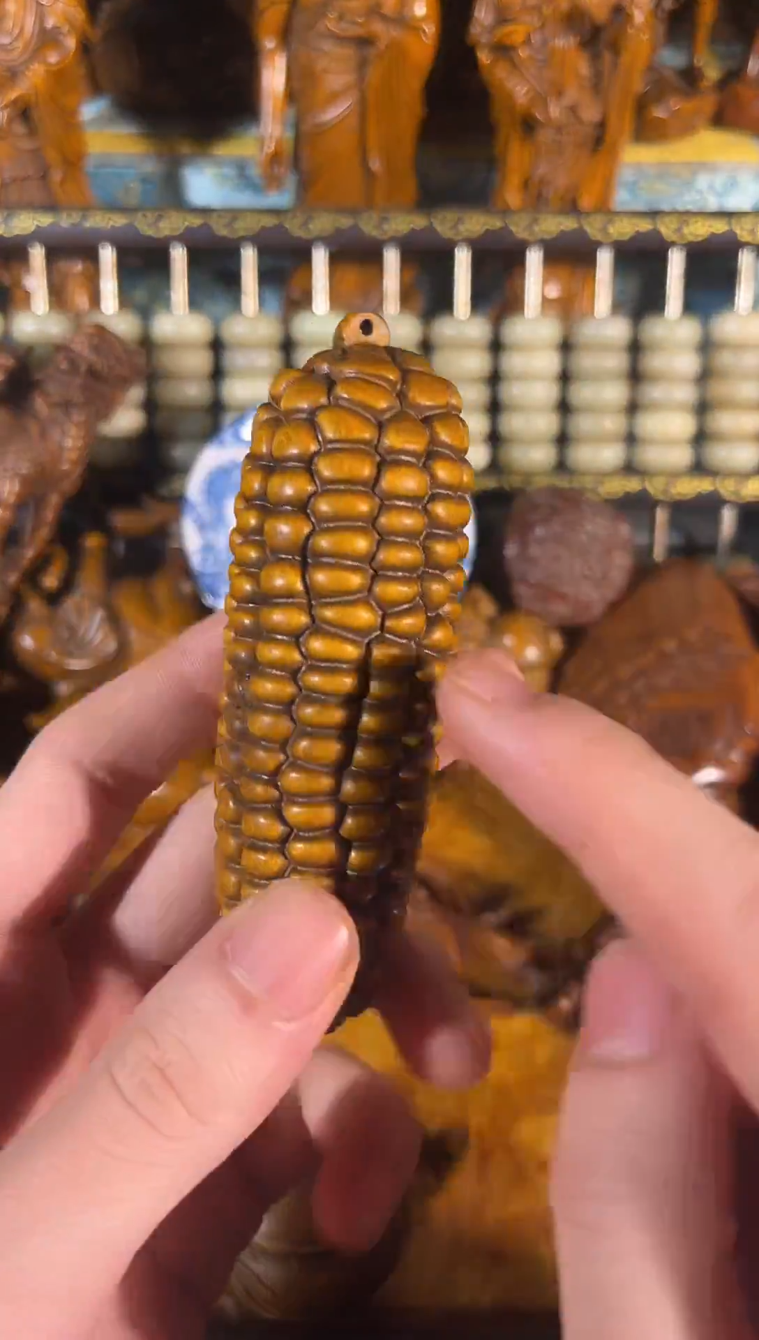 黄杨木011111111111