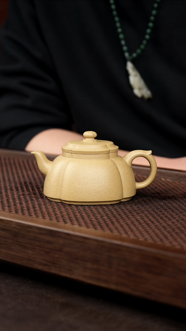 茶壶紫砂本绿秋海棠