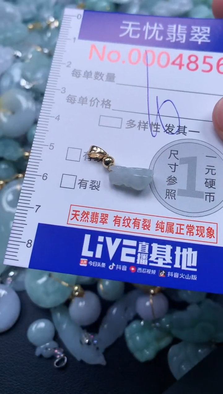 颈饰未镶嵌翡翠4856