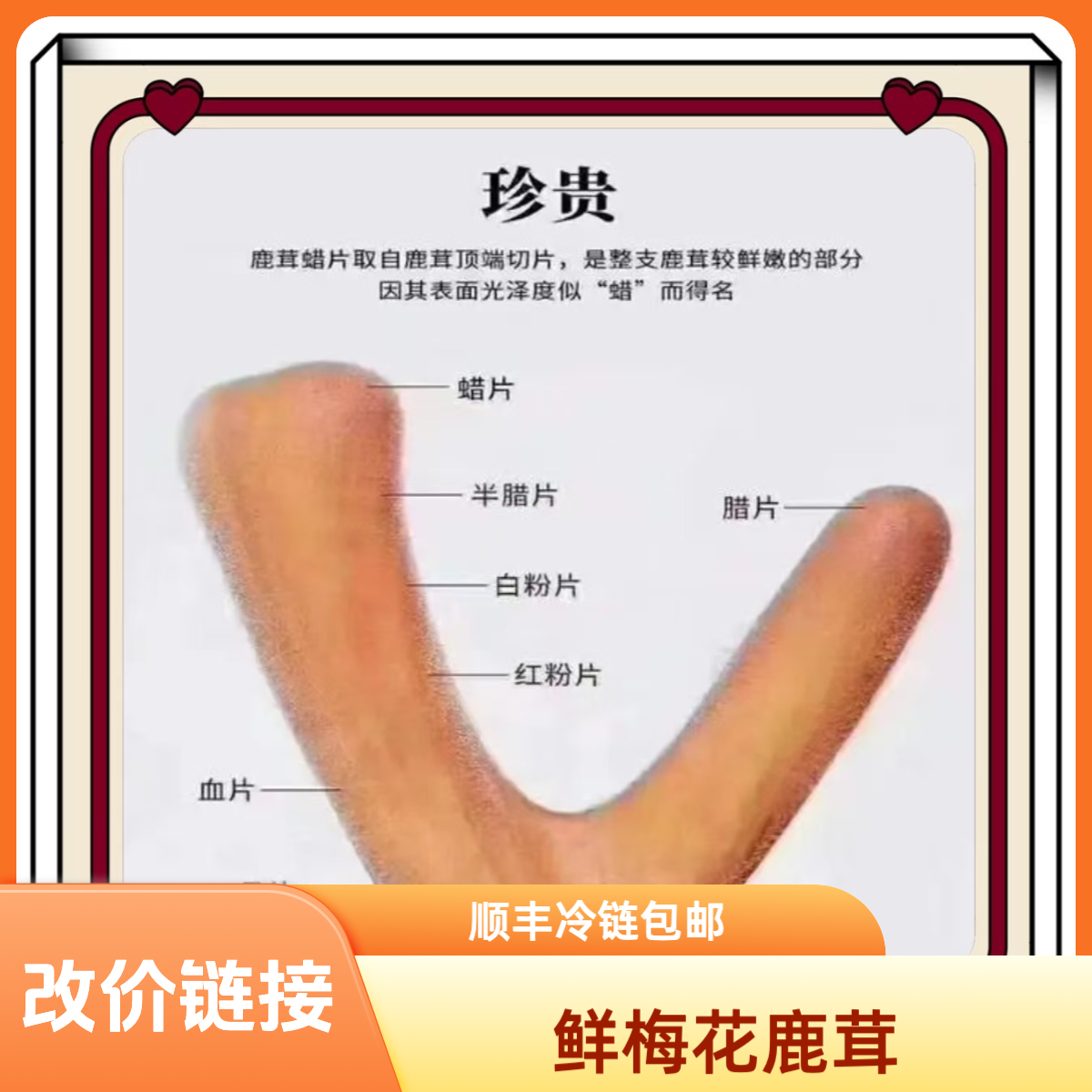 东北吉林 梅花鹿鲜鹿茸炖汤泡酒炖鸡汤炖骨头汤东北特产