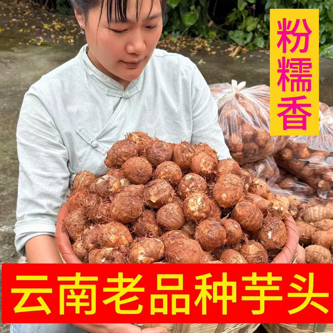 云南高山老品种芋儿 净重3斤中果 粉糯香