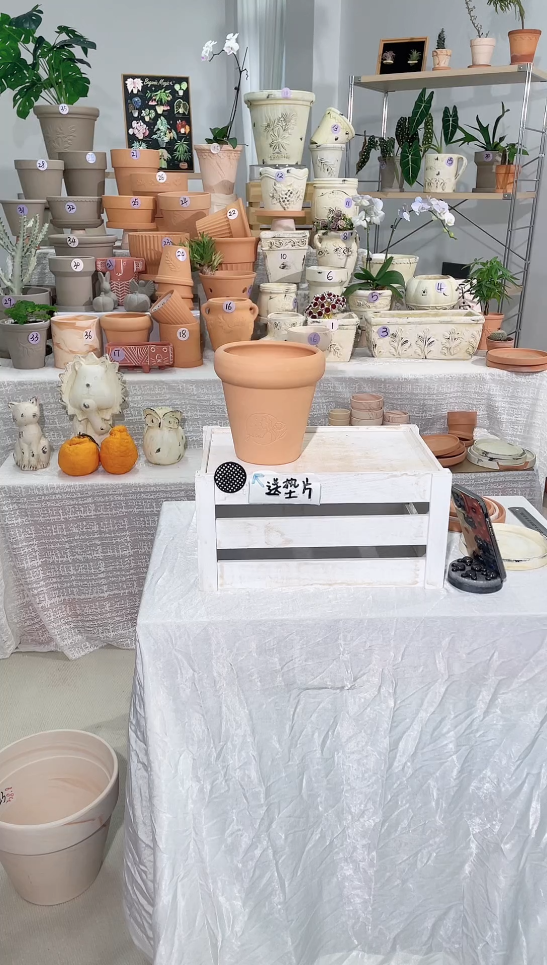 【闪购商品】陶1个无托 红陶草莓女孩口径15*15