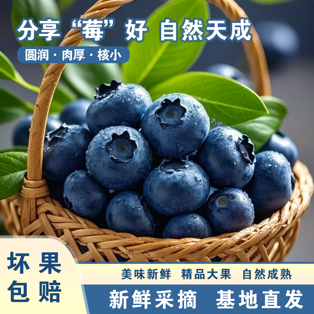 【顺丰空运】云南蓝莓新鲜当季水果大果酸甜多汁现摘现发坏果包赔