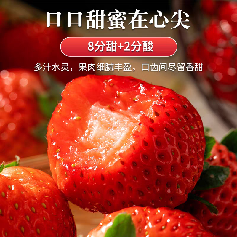 正宗丹东99草莓新鲜现摘奶油香的草莓嘎嘎甜中果的单果重25g-40g辽宁省