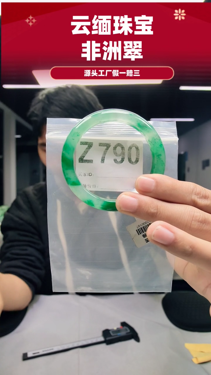 未镶嵌手镯石英质玉（非洲翠）58圈口Z790