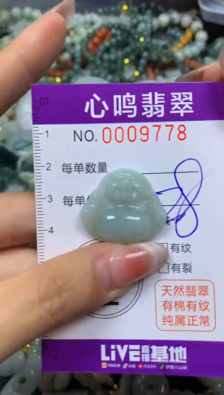 翡翠未镶嵌颈饰闪购009778