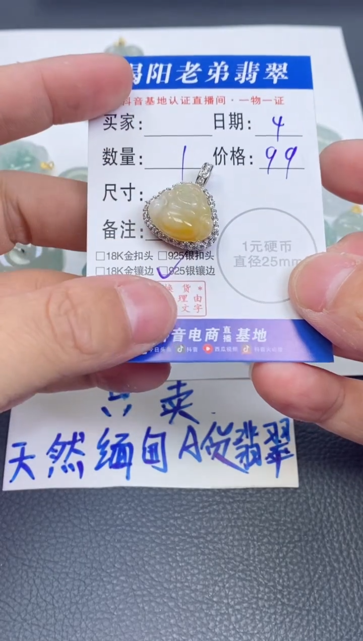 【闪购商品】翡翠颈饰银S925镶嵌多样性发其中一件