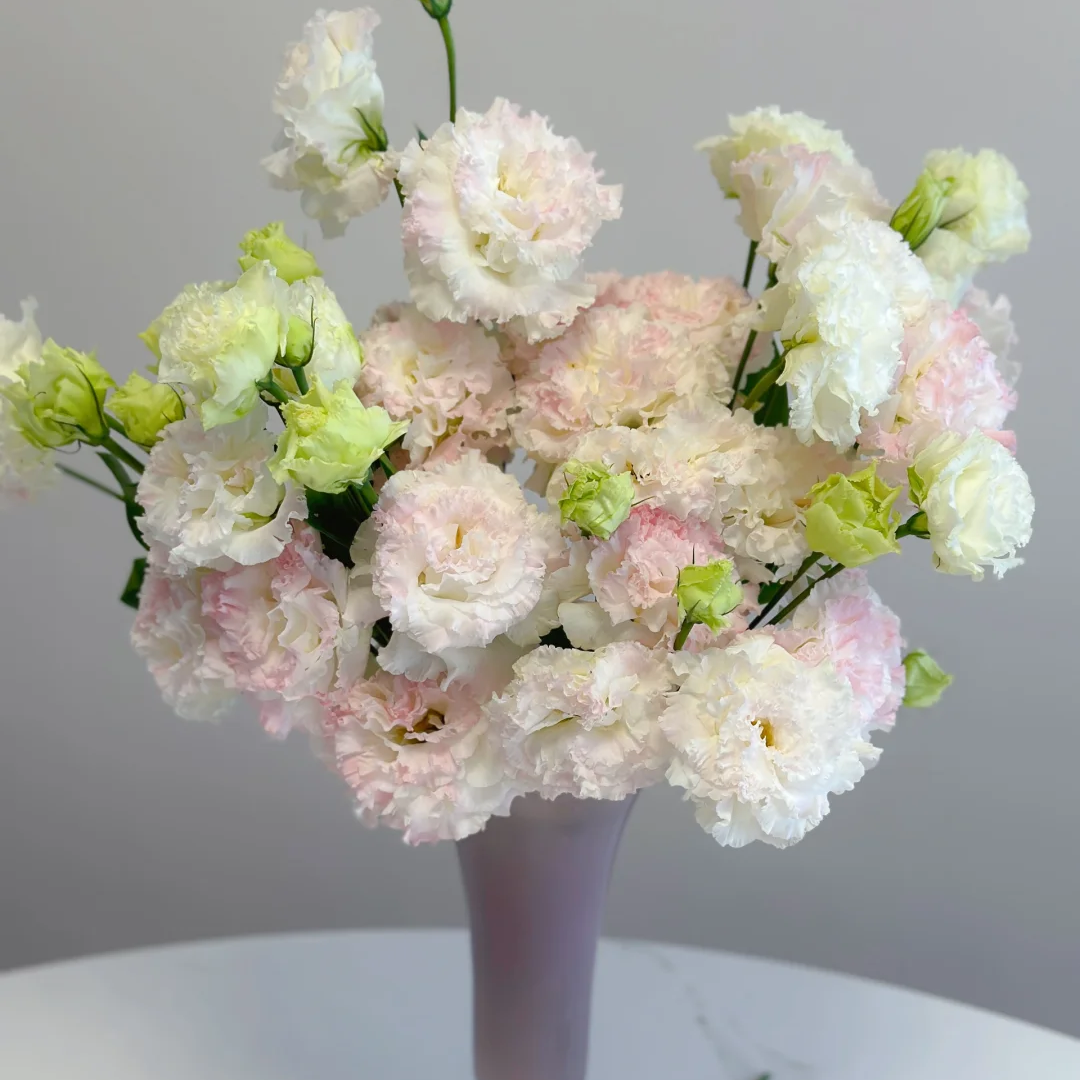 【冰淇淋洋桔梗400g】云南鲜花基地直发全店任意两件顺丰送货上门