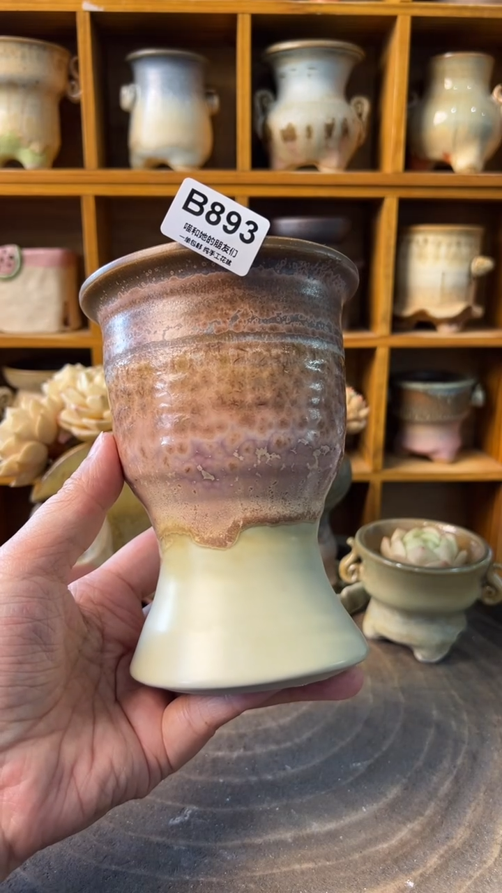 893 内口9【多肉花盆多肉盆】