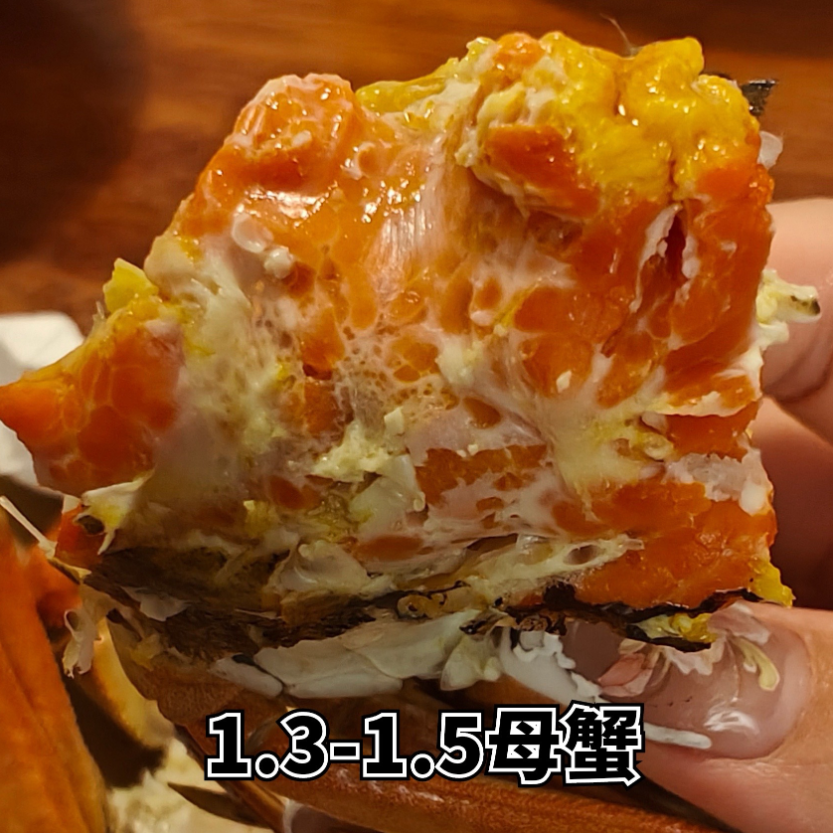 【活蟹】考拉爸爸盘锦稻田蟹1.3-1.5两母蟹 10只送3只补损耗包邮